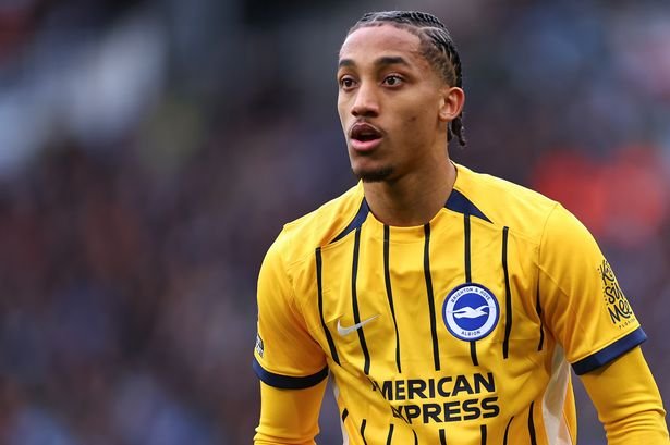 Brighton's Joao Pedro in action against Manchester City