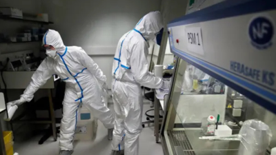 Deadly brain virus found in China bats: Scientists alarmed over 75% fatality risk