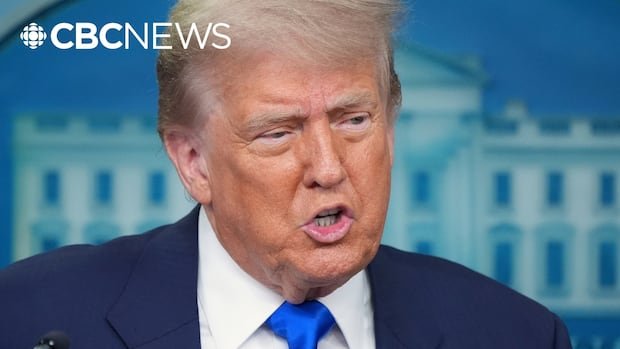 What is Canada's digital services tax — and why does Trump dislike it so much?