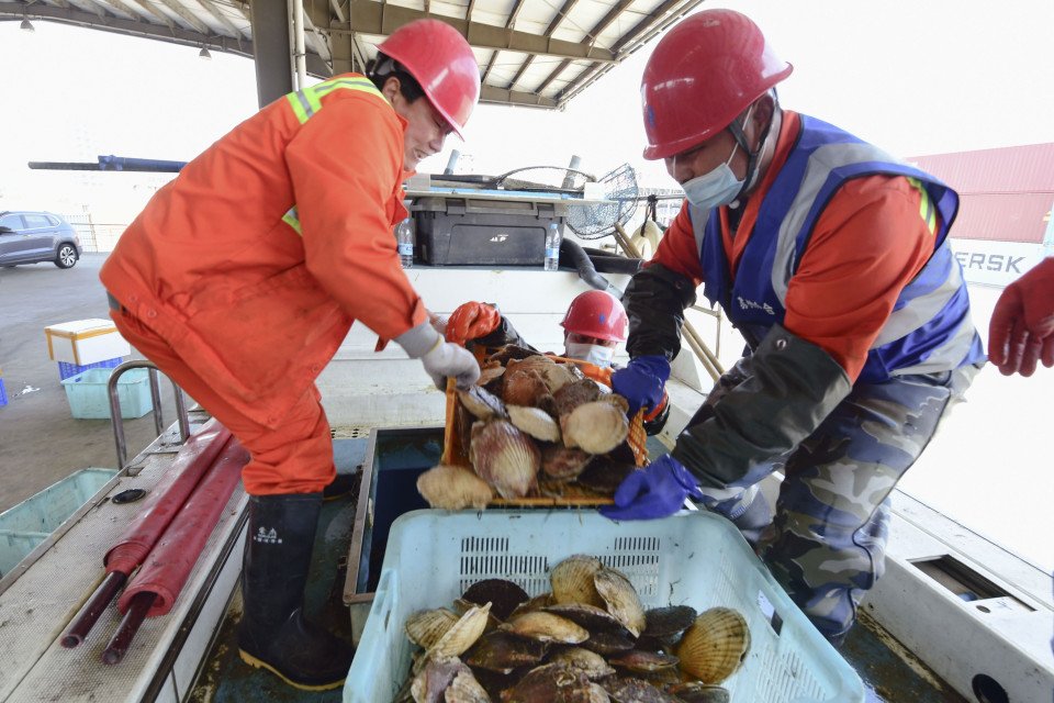 China lifts ban on Japanese seafood imports imposed in 2023