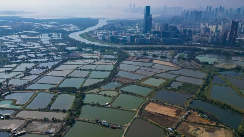 Hong Kong developers eyeing border project urged to link up with mainland firms