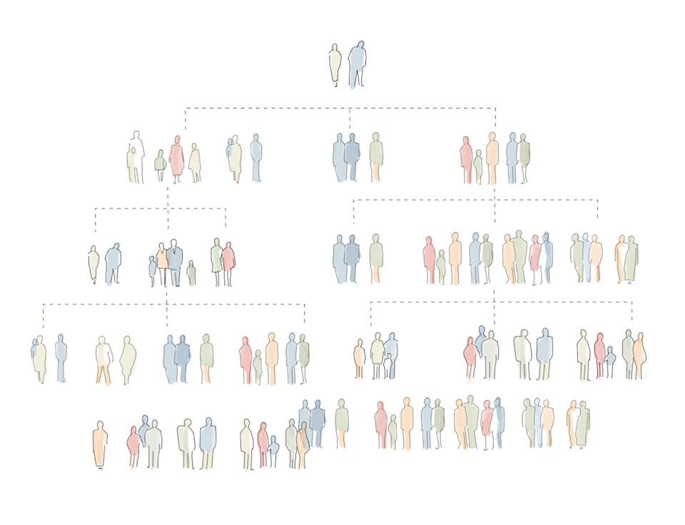 A graphic of a family tree.