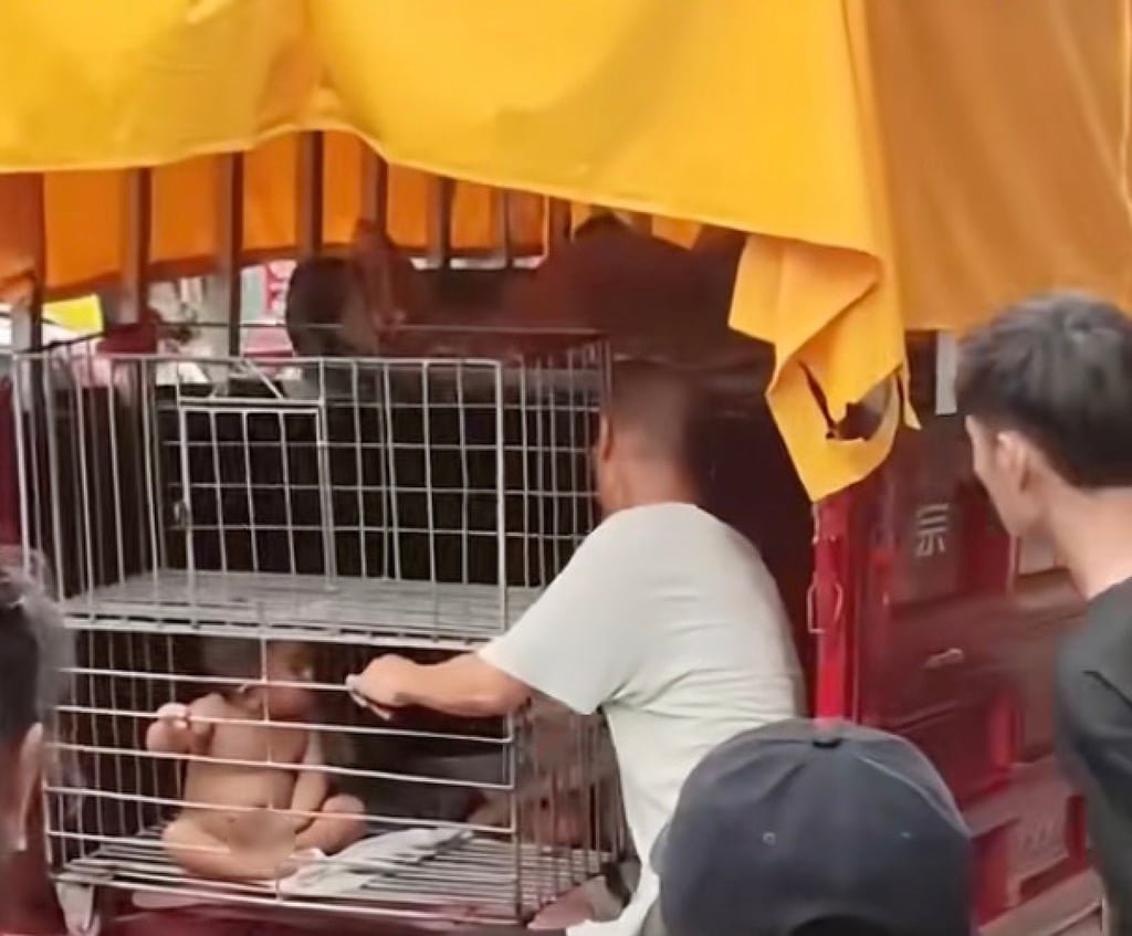 Diao told the police his caged toddler son was naked so that he would not suffer from the heat. Photo: Douyin