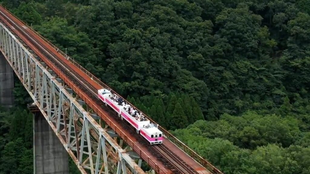 EU biodiesel tariffs offer Hong Kong a chance to boost adoption of green fuel