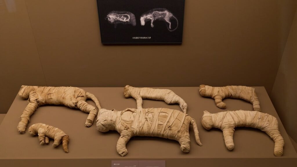 Hong Kong Palace Museum to host city’s largest showcase of Egyptian artefacts