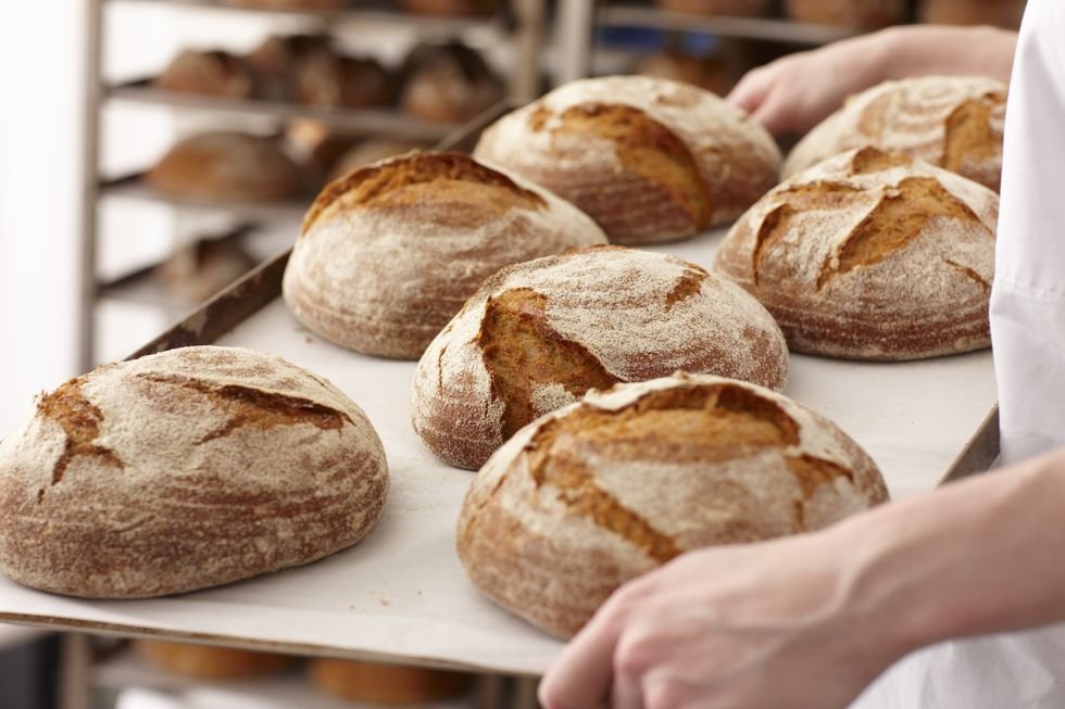 Sourdough loaves