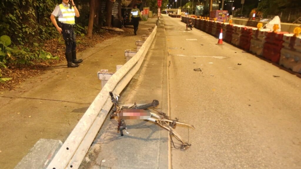 Hong Kong police arrest teenager who was alleged driver in fatal hit-and-run