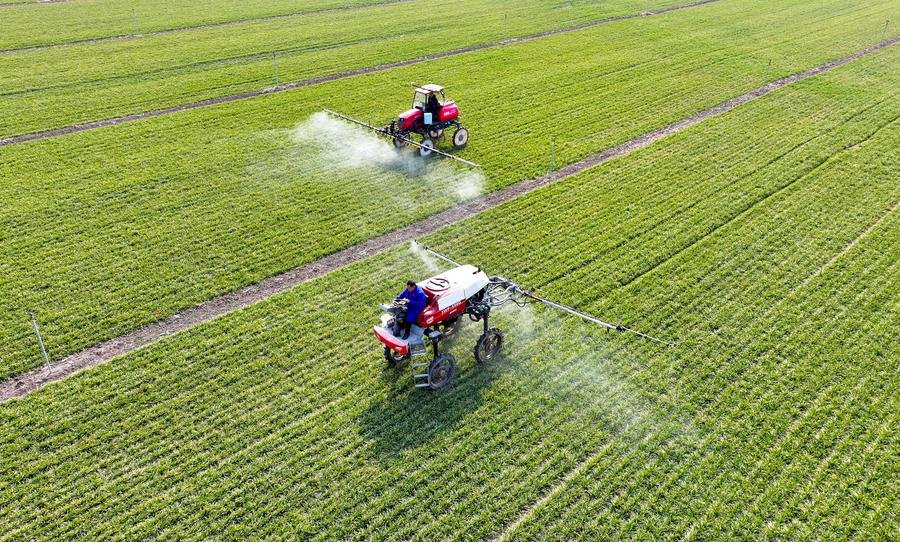 China forges ahead with integrated development of sci-tech, industrial innovation