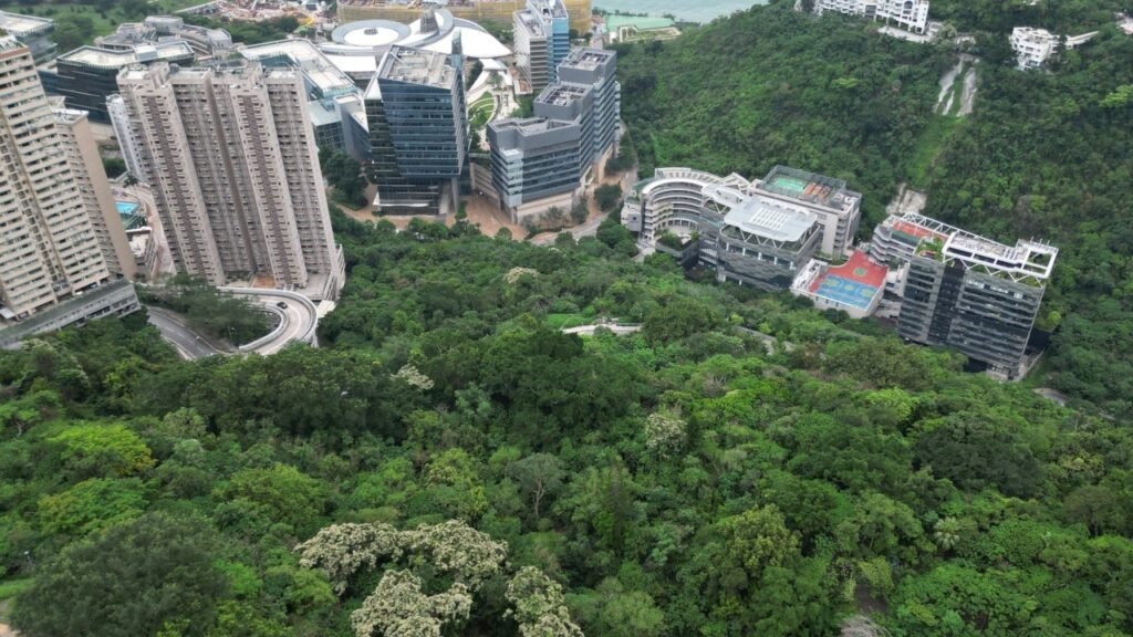 University of Hong Kong plans to cut size of development site after backlash