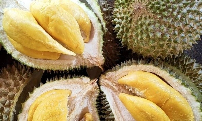 Hong Kong actress Kelly Fu enjoys 12 durians during her first visit to Malaysia
