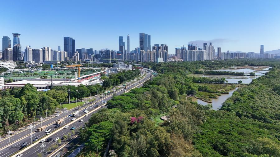 14 Guangdong firms enter 2025 Fortune China Tech 50 list