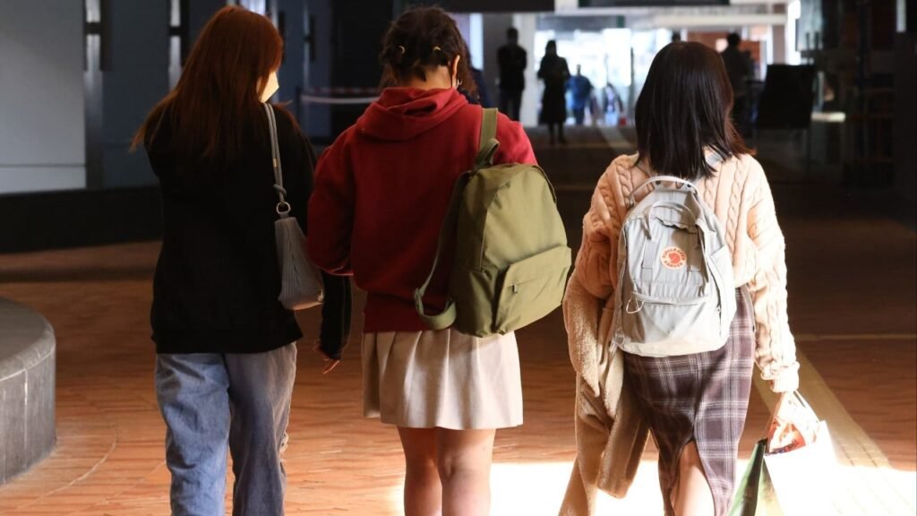 Why are DSE pupils in mainland China willing to pay up to HK$22,000 for university advice?