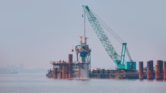 China’s crude oil imports rose 11.5 per cent in July from a year earlier.(HT File)