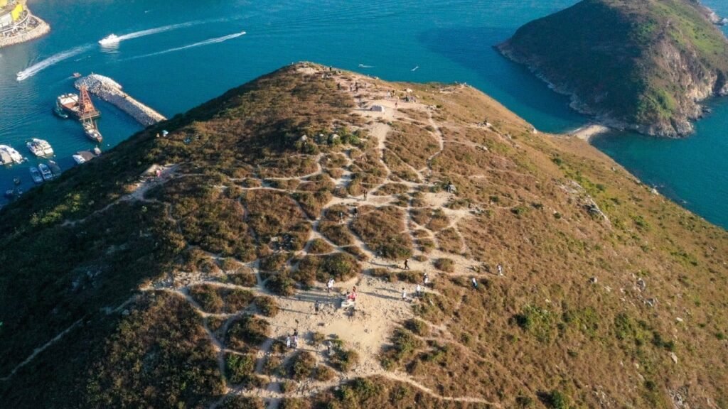 3 Hong Kong hikers, including boy, rushed to hospital after bee attack