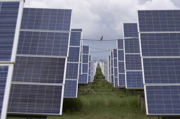 A bird rests on a cable strung between solar panels in Hainan prefecture of western China's Qinghai province on Tuesday, July 1, 2025. (AP Photo/Ng Han Guan)