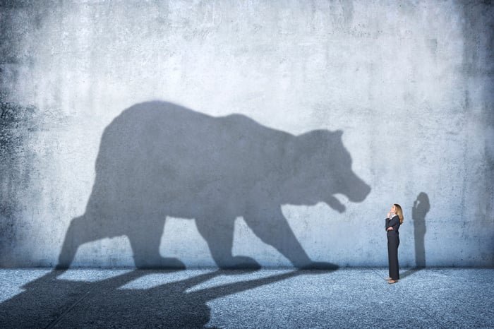 The shadow of a bear towering over a person.