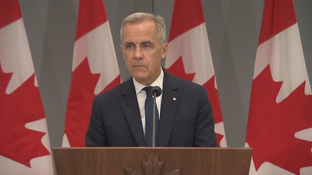 Carney says he will meet China's president 'at appropriate time' to talk trade