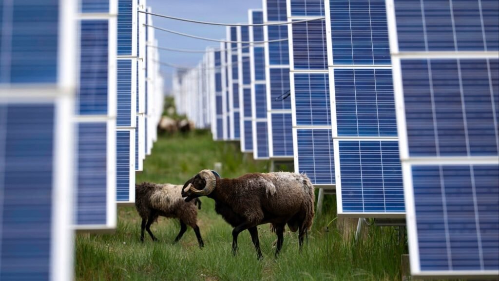 Hong Kong’s sustainable debt market grows 15% as city prepares to host Green Week