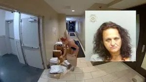 Woman accused of Brookhaven mailroom thefts arrested after chase involving stolen van