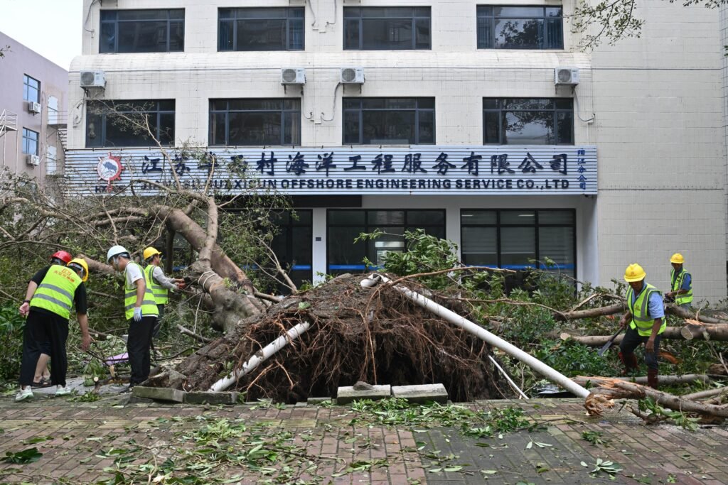 Workers cut and remove a fallen tree following the passage of Super Typhoon Ragasa in Yangjiang, southern China
