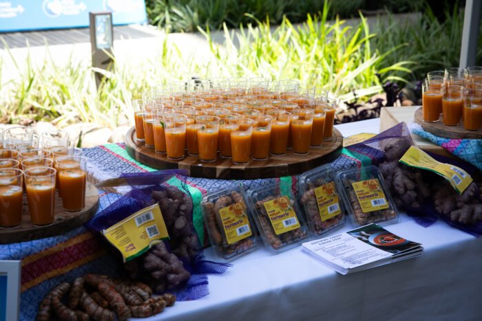 Culinary Medicine Program Launch