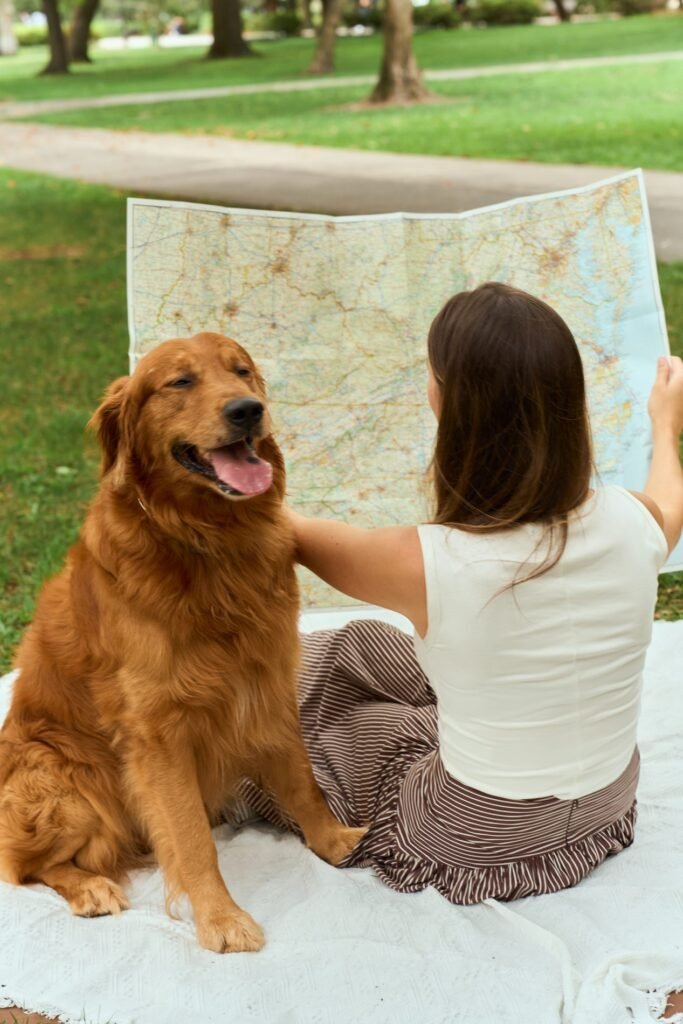 Pet parents are spending thousands to plan their dog’s perfect vacation through Bark Air