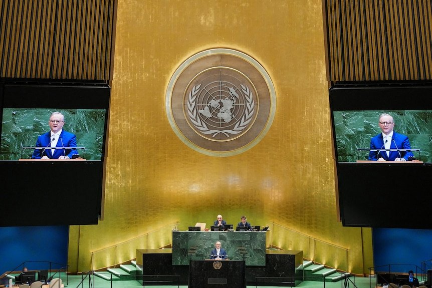 Anthony Albanese speaks at the UN podium.