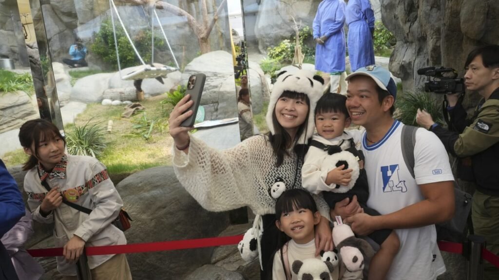 Pandas give Hong Kong’s Ocean Park boost but deficit worsens to HK$275 million