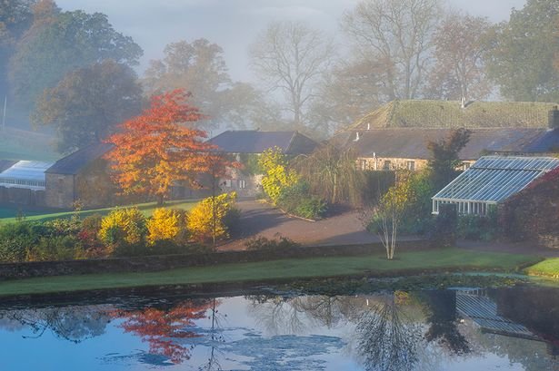 Welsh attraction once left in ruins now one of world's best-rated places to visit and is magical in autumn