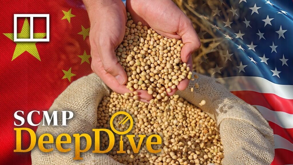 Relief – and caution – as China resumes US soybean purchases