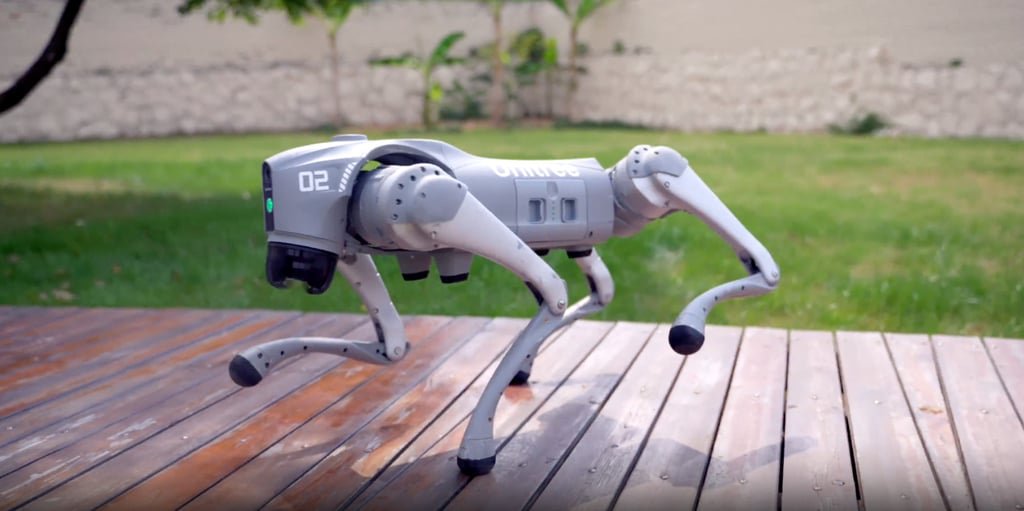 Unitree’s new Go2 robot dog. Photo: Handout