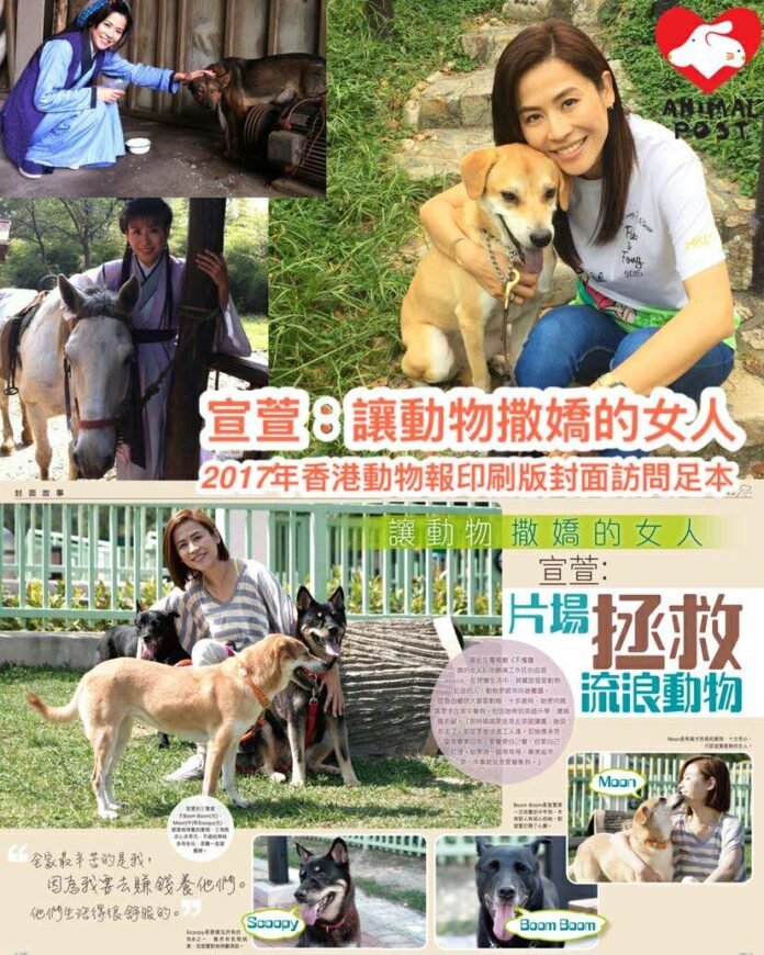 香港動物報 Hong Kong Animal Post
