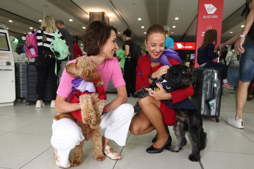 Two people holding two dogs in an airport.