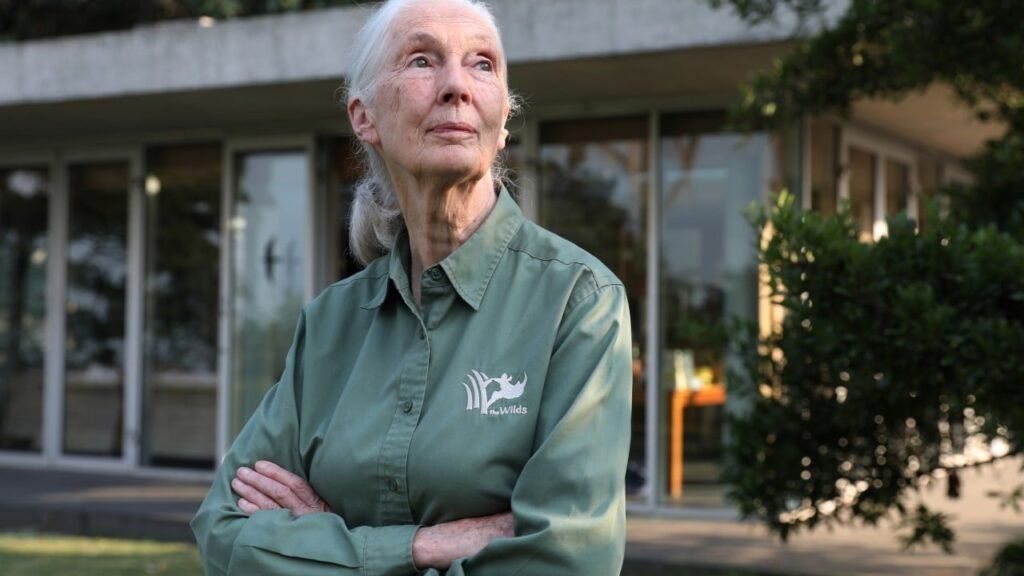 ‘Meeting a giant’: Hong Kong remembers late wildlife advocate Jane Goodall