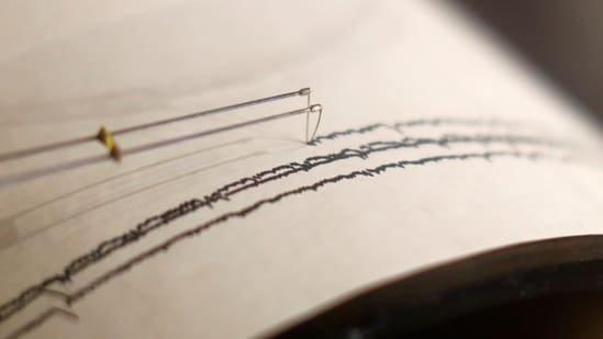No tsunami warning was issued following the 6.7-magnitude earthquake.(Representational image)