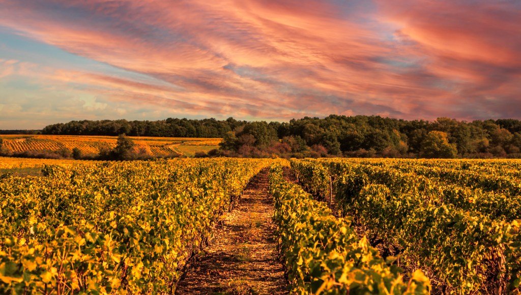 10 of the Prettiest Fall Destinations in the World (No US Locations!)