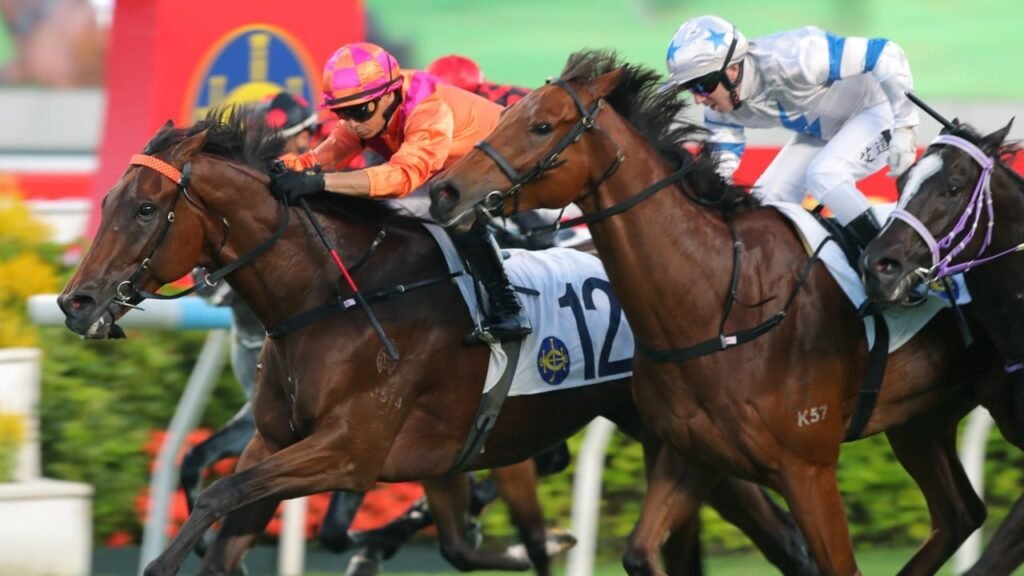 Hong Kong marks National Day with fireworks, naval ship tours and horse races