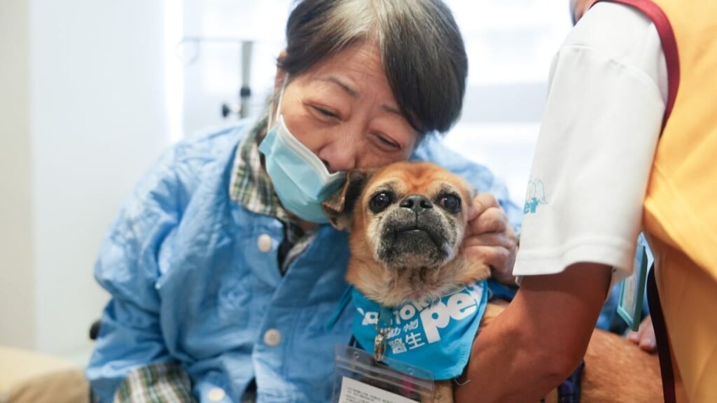 A perfect purr-scription? How ‘pet doctors’ can help Hong Kong hospital patients