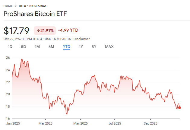 Should You Invest In Crypto Income ETFs? The Shocking Truth