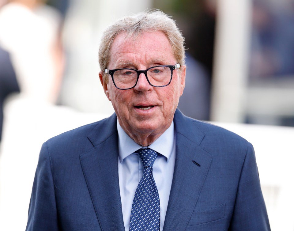 Harry Redknapp in a blue suit and patterned tie.