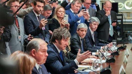 Argentine President Javier Milei speaking in a meeting in the White House last week.